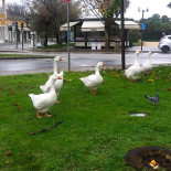 Carnes Mariscos Okey Exterior