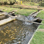 Truchas El Paraíso El Rincón De La Cascada outside