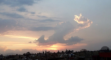 Tributo Burger Maximus outside