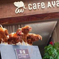 Asadero La Gran América Nourriture