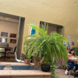 El Jardín De Azu Extérieur