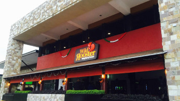 Wild Rooster outside