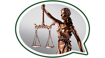 Hamburger Channel Boisson