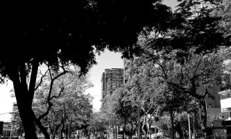 Palíndromo Exterior