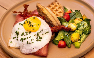 Pata De Elefante food