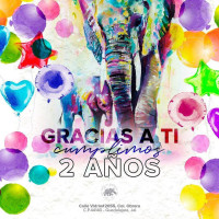 Pata De Elefante menu