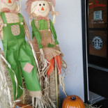 Café Galería Boisson