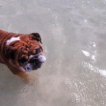 Mantarraya Beach Club Hammocks Bebida