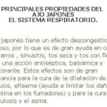 Domino's Pizza Cadereyta Carta