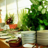 The Island Solymar Boisson