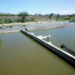 Granja Coyotomate Exterior