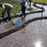 Mikasa Cuautla Exterior