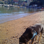 Charvaqs Express 1ro. De Mayo Extérieur