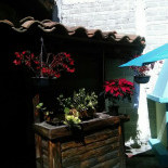 Cocote Cafe Grill Exterior