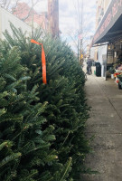 Antojitos Gelys Exterior