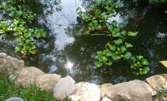 El Real Campestre Exterior