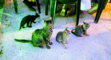 El Limoncito Mariscos Extérieur