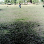 Sinco Sinaloa Cocina Del Mar Outside