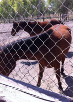 B'ui Cocina De Campo Bebida