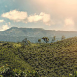 Juan Valdez Cafe Canaveral Boisson