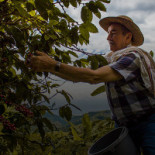 Juan Valdez Cafe Canaveral Boisson