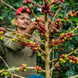 Juan Valdez Cafe Canaveral Boisson