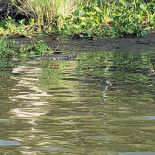 La Cabaña De Chema Exterior