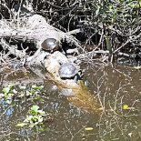 La Cabaña De Chema Exterior