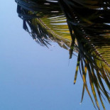 La Cabaña De Chema Bebida