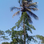 La Cabaña De Chema Exterior