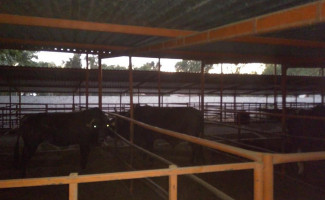 El Toro Vaquero Exterior