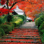 Pizza Bollo Exterior