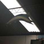 Mariscos Y Pescados Laa Güera Exterior