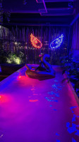 M Tulum Hookah Pool Lounge Bebida