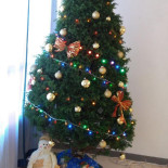 Taquería Lucero Außen