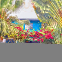 Start Café Extérieur