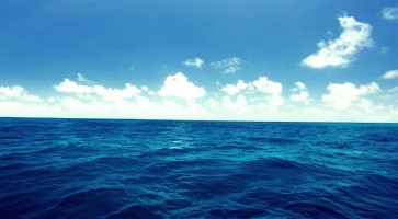 Palapa Las Bugambilias Pescados Y Mariscos outside