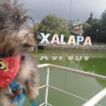 Café La Fuente Extérieur