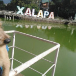 Café La Fuente Extérieur