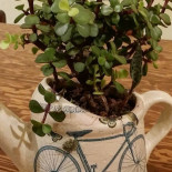 La Esquina De Beny Bebida