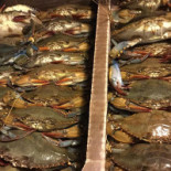 Mariscos Mape Comida