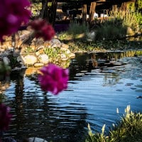 Lunario México Exterior