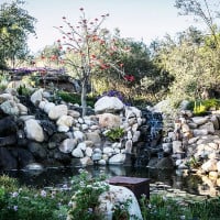 Lunario México Exterior