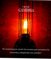 Cambria Cafe Resto drink