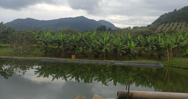 El Paraiso Extérieur