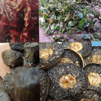 Cockteleria La Oaxaquena Exterior