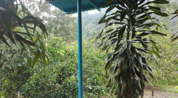 Finca El Mirador outside