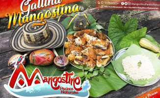 Mangostino Paraiso Natural food
