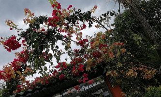 Piscina Viani Exterior