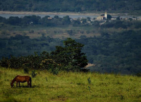 K Wings Malecón Exterior